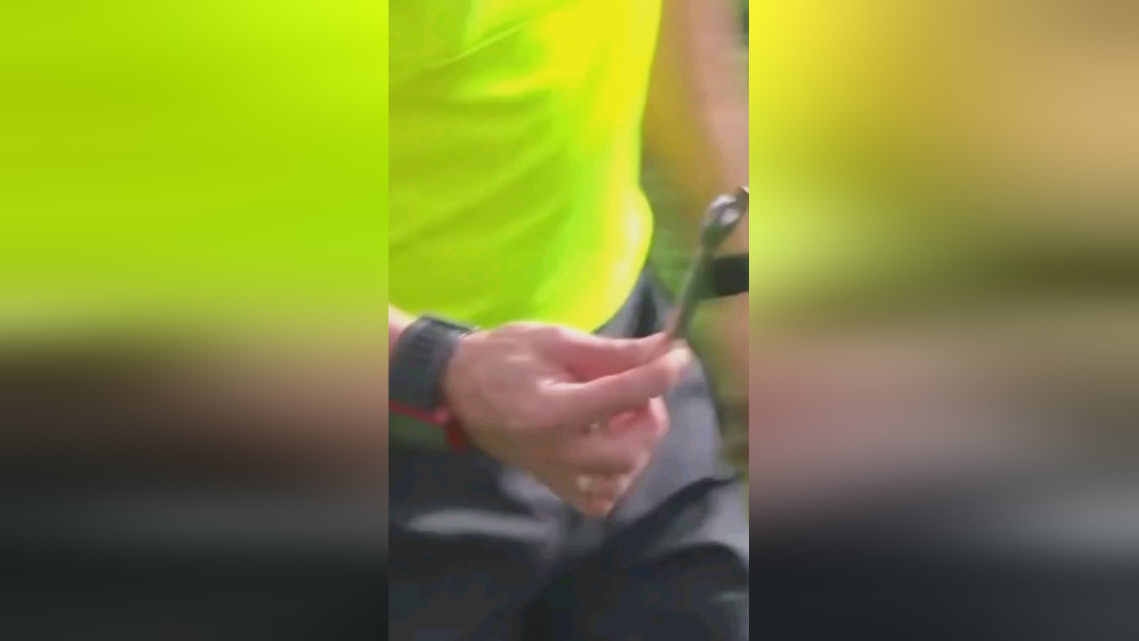 与环保